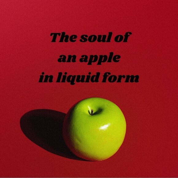 Rae Dunn Fall Inspired Coffee Mug (Apple Cider) NWOT - Picture 3 of 8